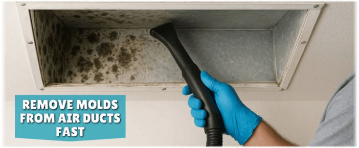 Air Duct Mold Removal in Palm Desert CA